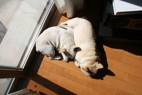 20120404_8.jpg