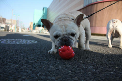 20120408_2.jpg