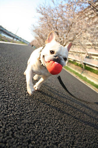 20120408_14.jpg
