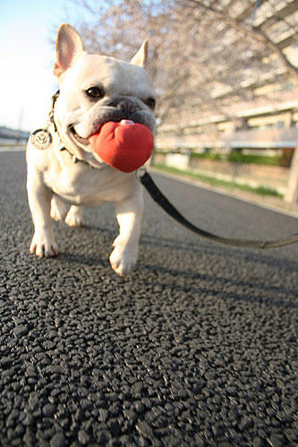 20120408_15.jpg