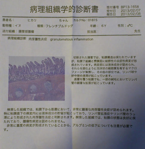 20130211_04.jpg