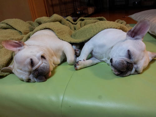 20130418_024053.jpg