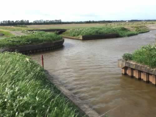 ナマズが釣れるポイントで紹介したポイントに行ってきた 札幌なまず釣り 雷魚釣り日和