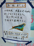 20071211095336.jpg