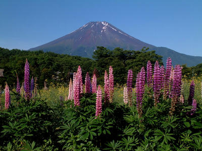 DSCF84901.jpg