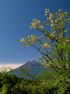 DSCF85121.jpg