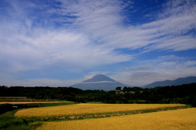 IMG_09751.JPG