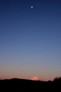 IMG_54151.jpg
