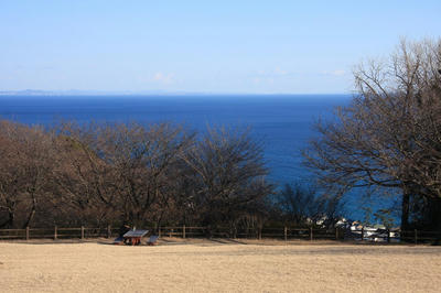 IMG_68611.jpg