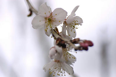 IMG_19561.jpg