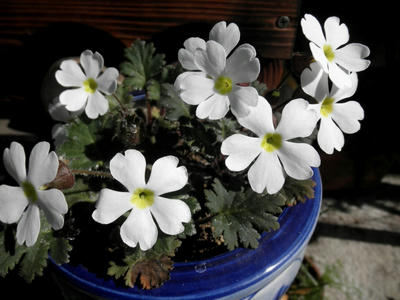 P31300151.jpg