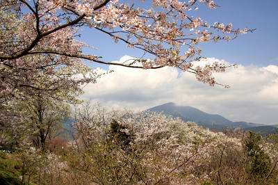 IMG_29261.jpg