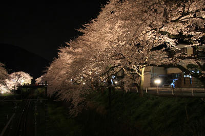 IMG_22271.jpg