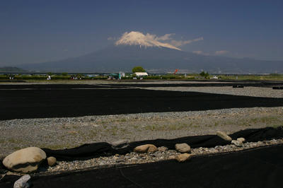 IMG_26681.jpg