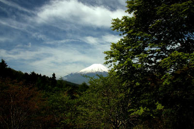 IMG_02431.jpg
