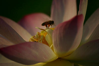 IMG_36871.jpg