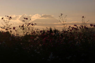 IMG_57191.jpg