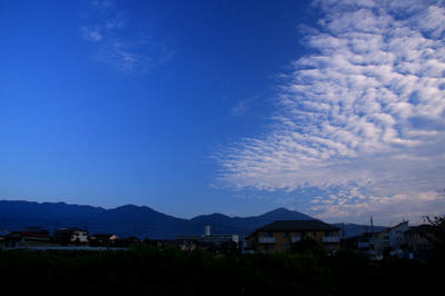 9c62b439.jpg