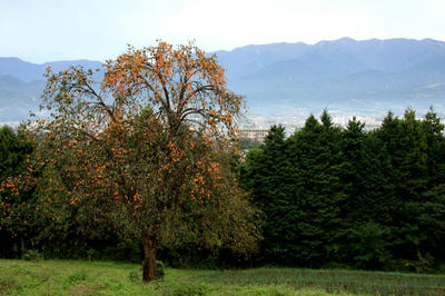 IMG_61981.jpg