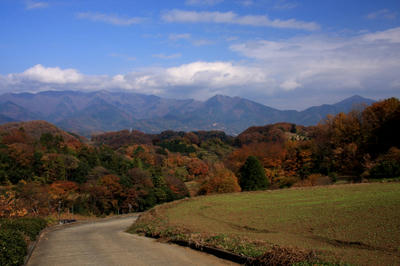 IMG_74481.jpg