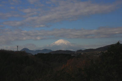 IMG_80141.jpg