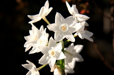 IMG_88541.jpg