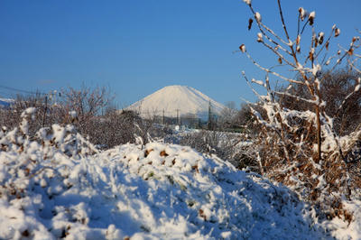 IMG_89151.jpg