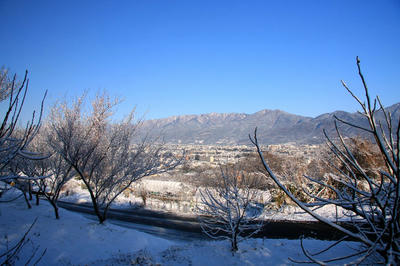 IMG_89271.jpg