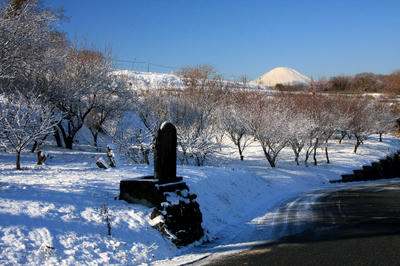 IMG_89971.jpg