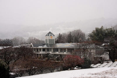 IMG_08051.jpg