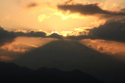 IMG_1353-1.jpg