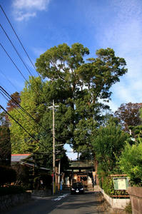 IMG_9501-1.jpg