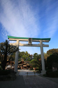 IMG_9512-1.jpg