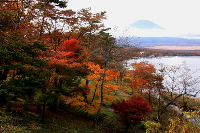 IMG_0280-1.jpg
