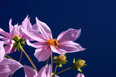 IMG_7403-1.jpg