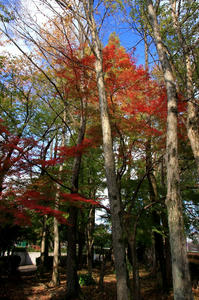 IMG_7564-1.jpg