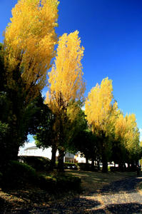 IMG_7604-1.jpg