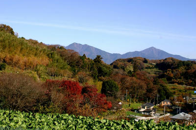 IMG_7425-1.jpg