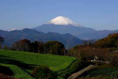 IMG_7442-1.jpg