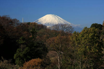 IMG_8397-2.jpg