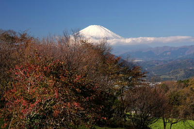 IMG_8435-2.jpg