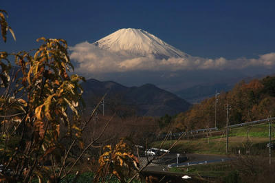 IMG_8501-2.jpg