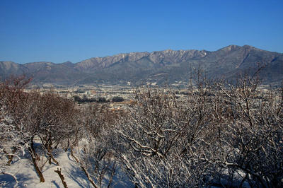 IMG_8930-1.jpg