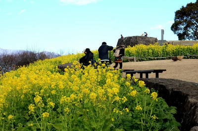 IMG_9053-1.jpg
