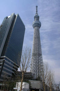 IMG_2695-1.jpg