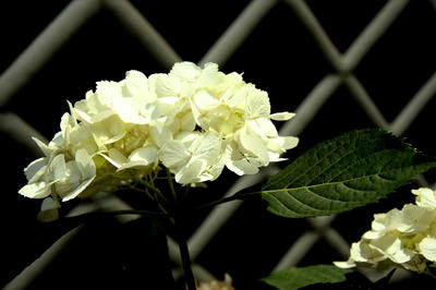 IMG_7661-1.jpg
