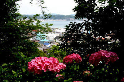 IMG_7821-1.jpg