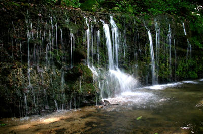 IMG_3993-1.jpg