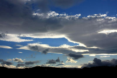 IMG_9487-1.jpg