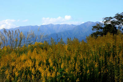 IMG_0356-1.jpg